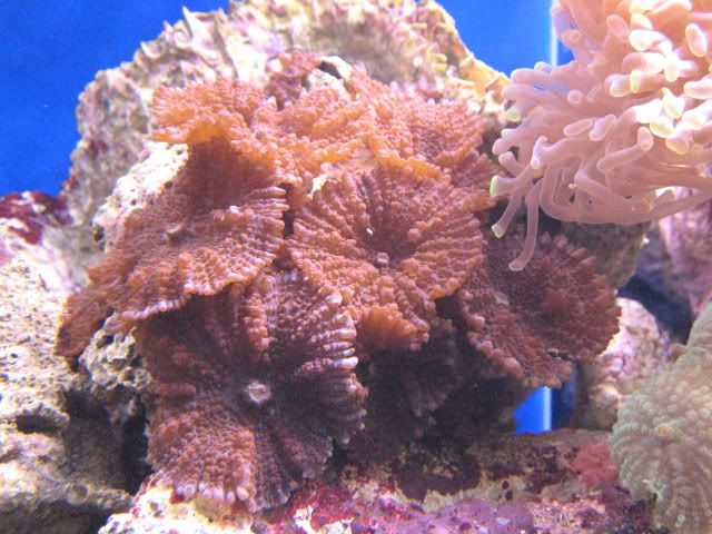 IMG_1795.jpg