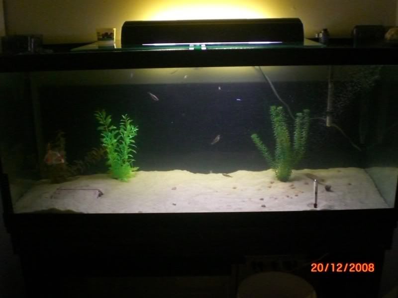 substrate001.jpg