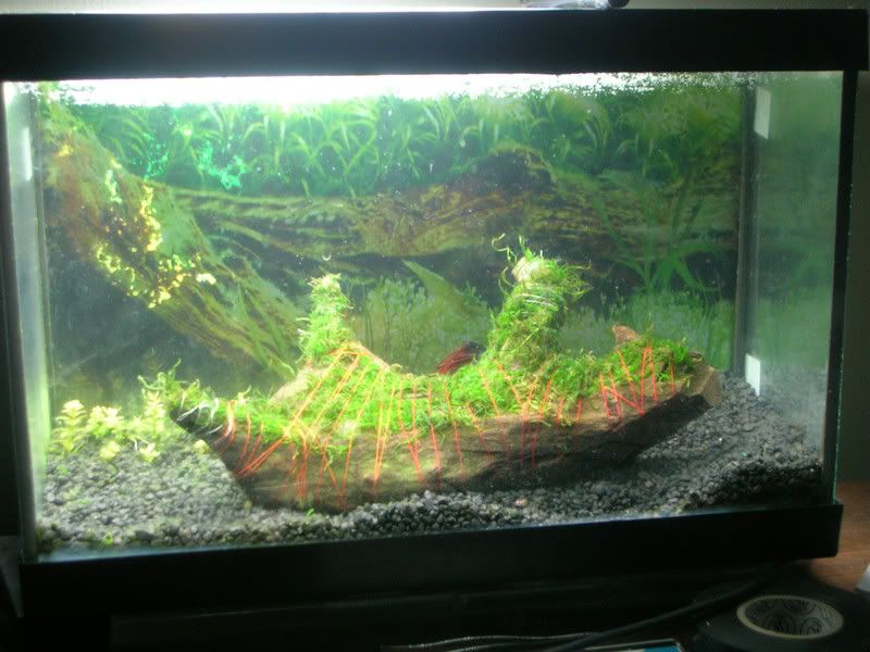 DSCN1843.jpg