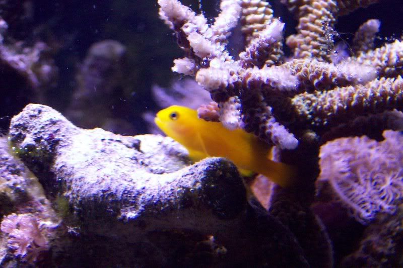 aquarium138.jpg