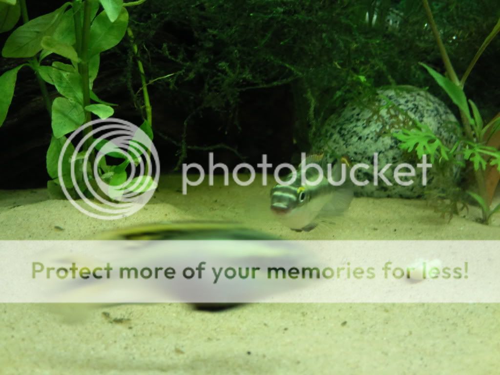 Photo003Gmgm.jpg