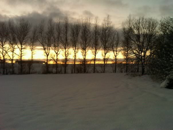 WinterSkyline.jpg