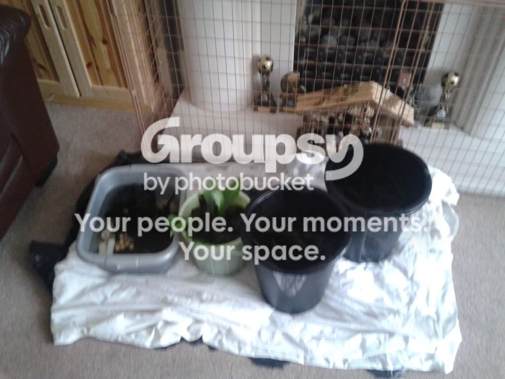 2011-12-24111739.jpg
