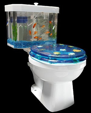 fishtank.jpg
