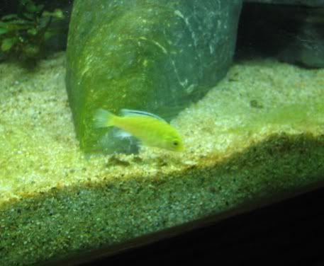 FishTank097.jpg