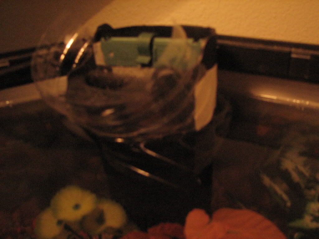 fishtank002.jpg