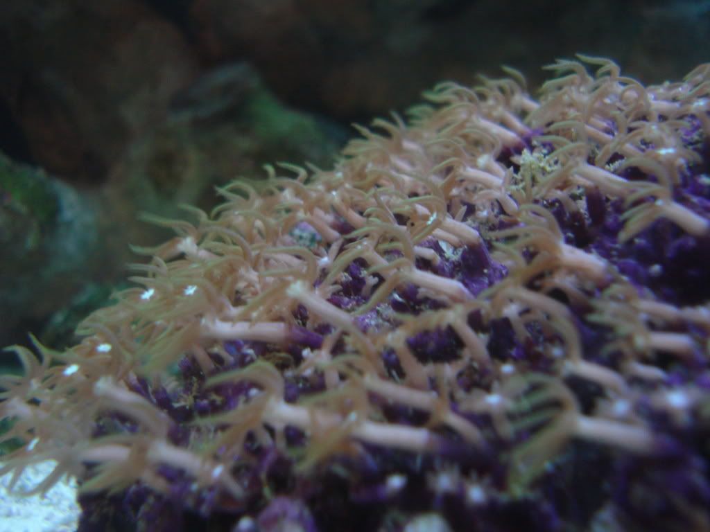 DSC02292.jpg