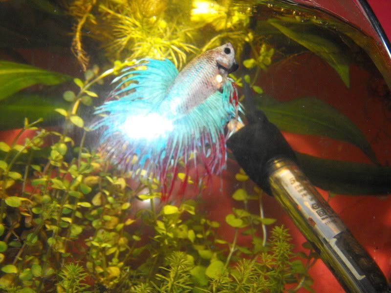 DSCF5475.jpg