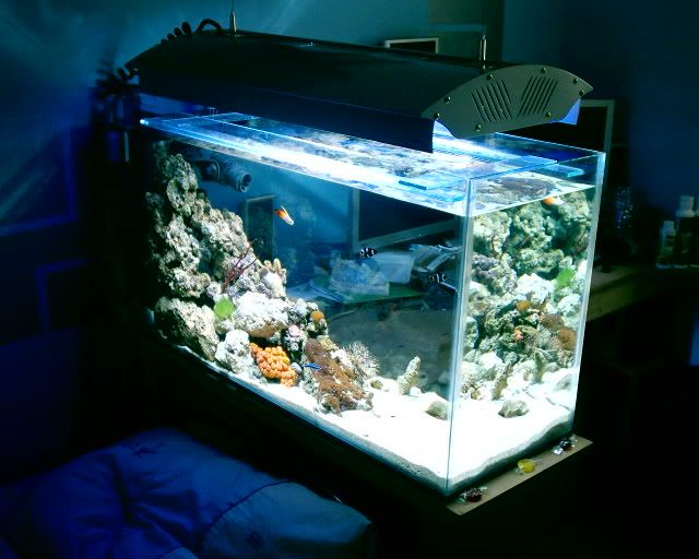S1010079.jpg