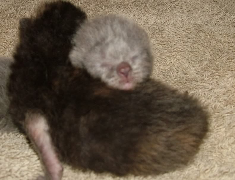 DSCF4193.jpg