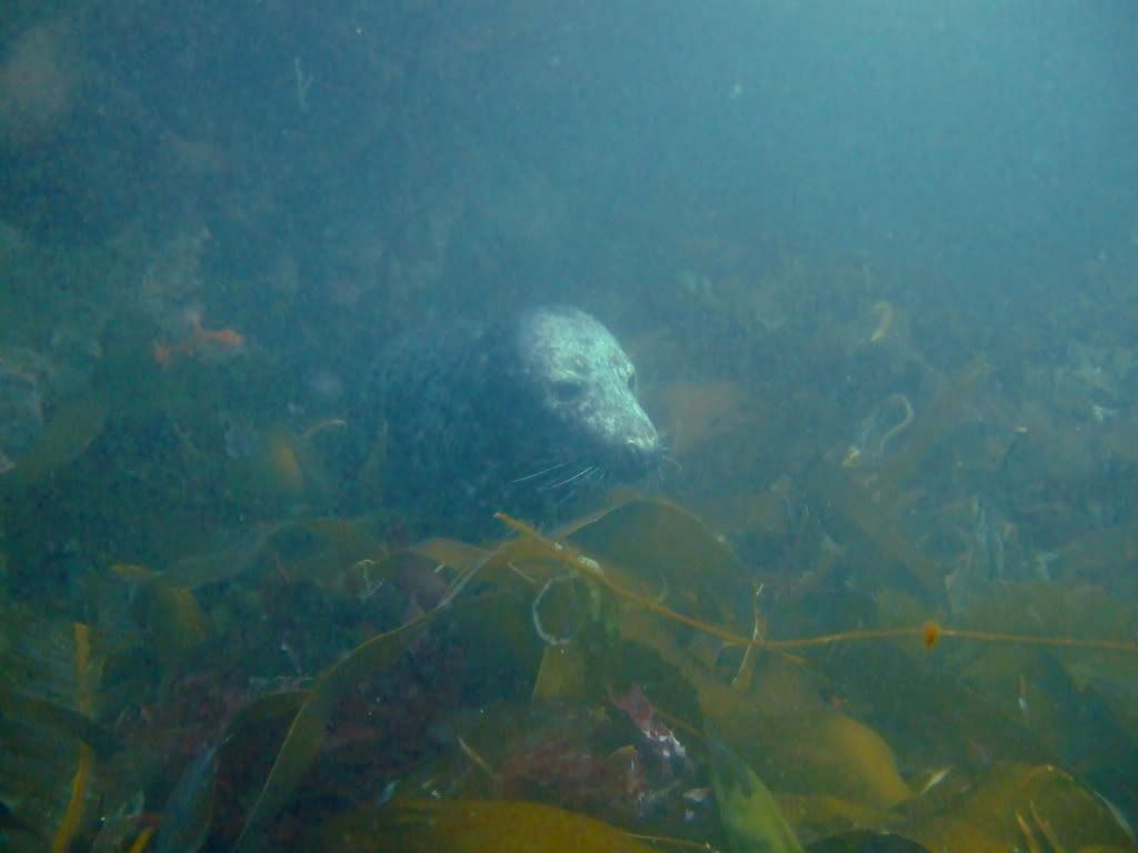 DSCF6106.jpg