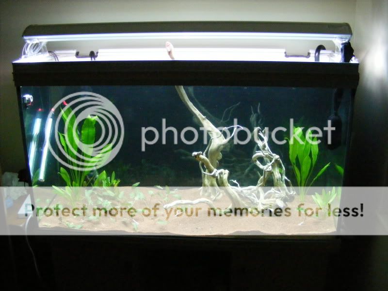 DSCF9270.jpg