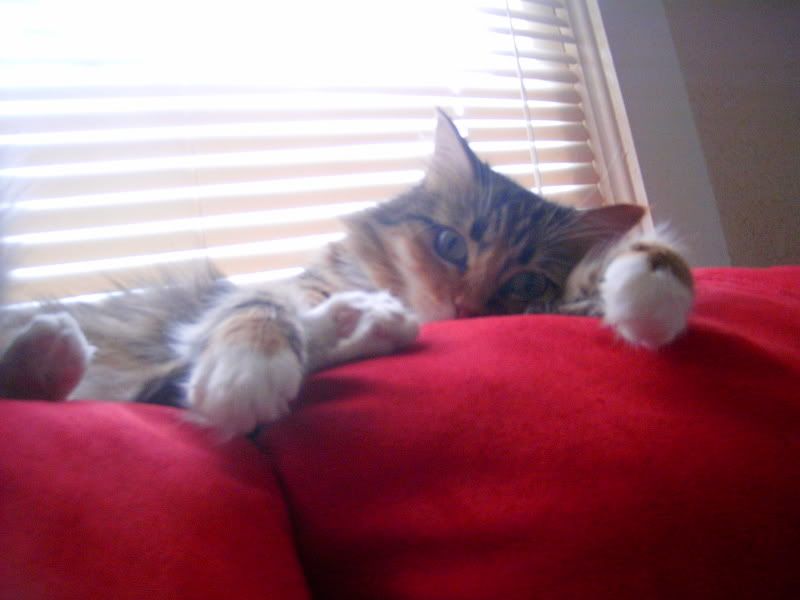 Picture153.jpg