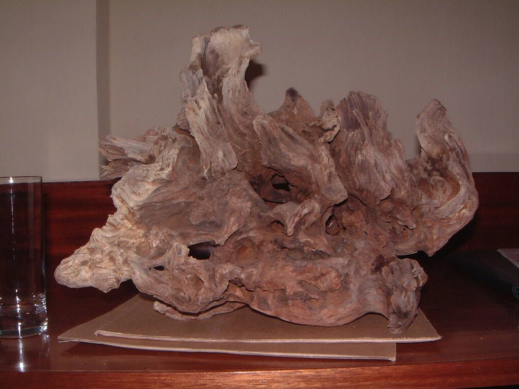 DSCF0750.jpg