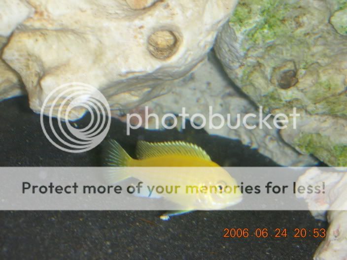 DSCN1056.jpg