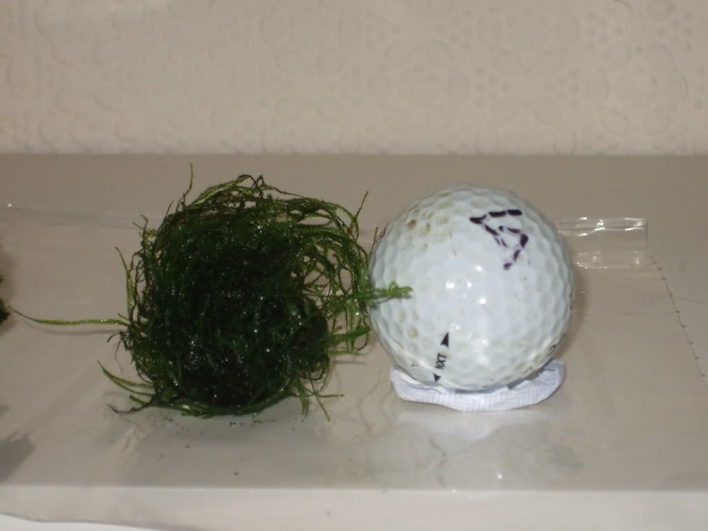 DSCF1615.jpg