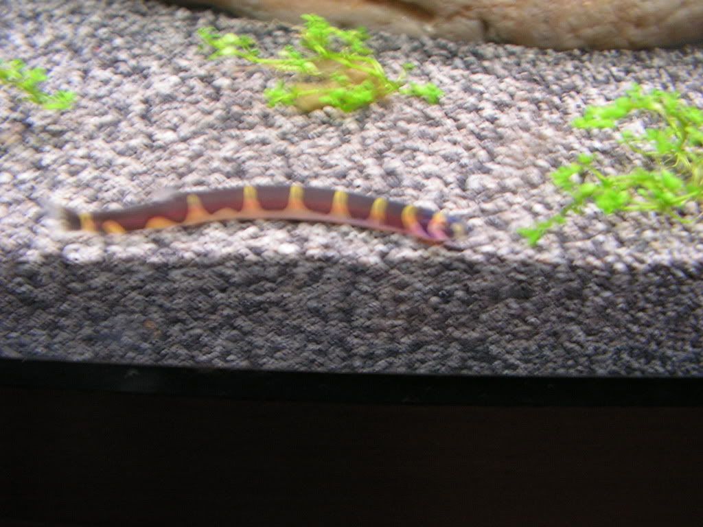 PICT1246.jpg