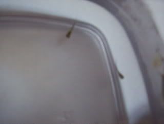 fishis015.jpg