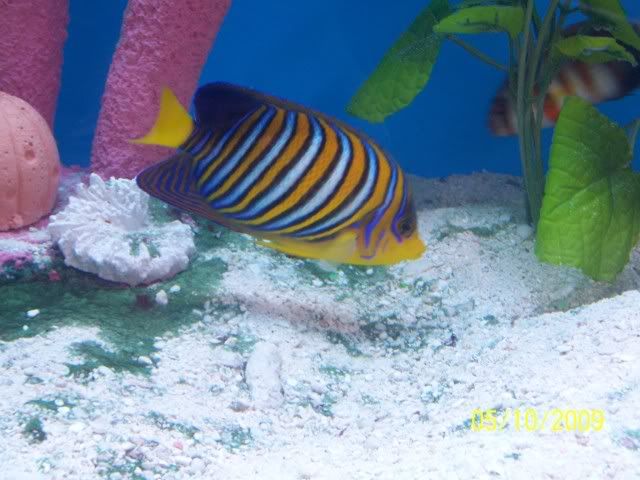 100_6131.jpg