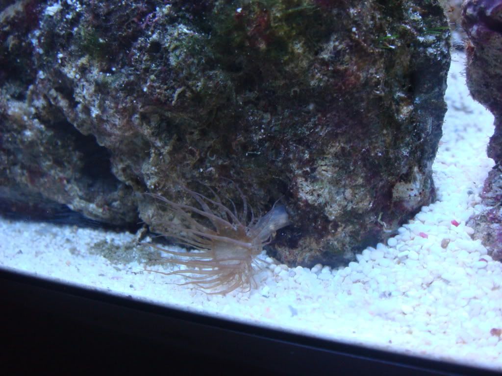 DSC01676.jpg