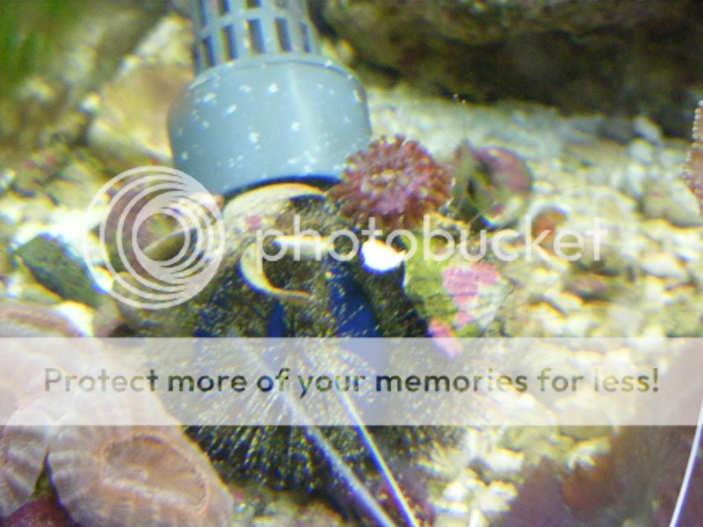 DSCF2845.jpg