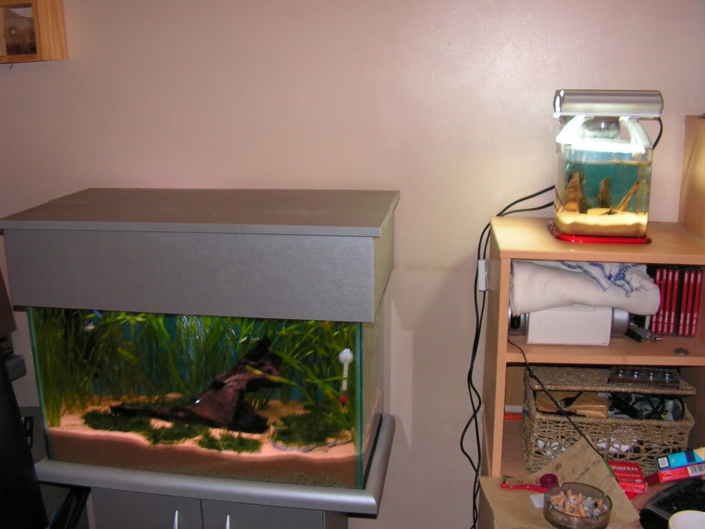 PICT0491.jpg