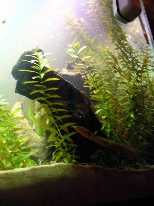 DSCN1576.jpg