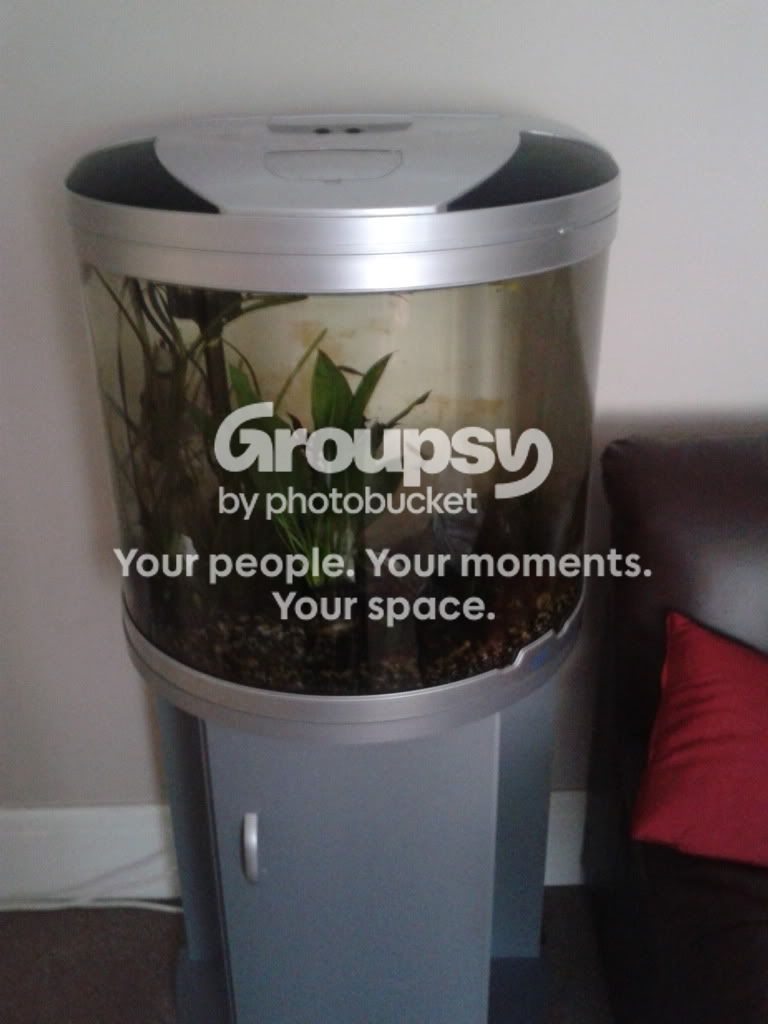 2011-12-24102508.jpg