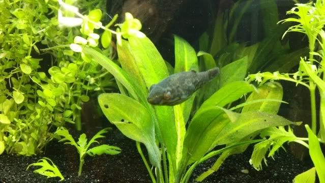 2012-06-23_09-05-21_971.jpg