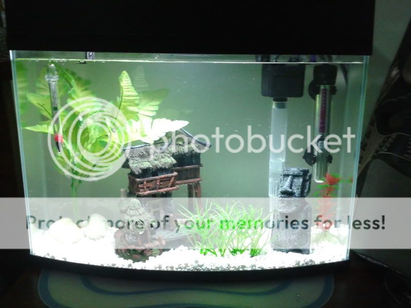 NewTank.jpg