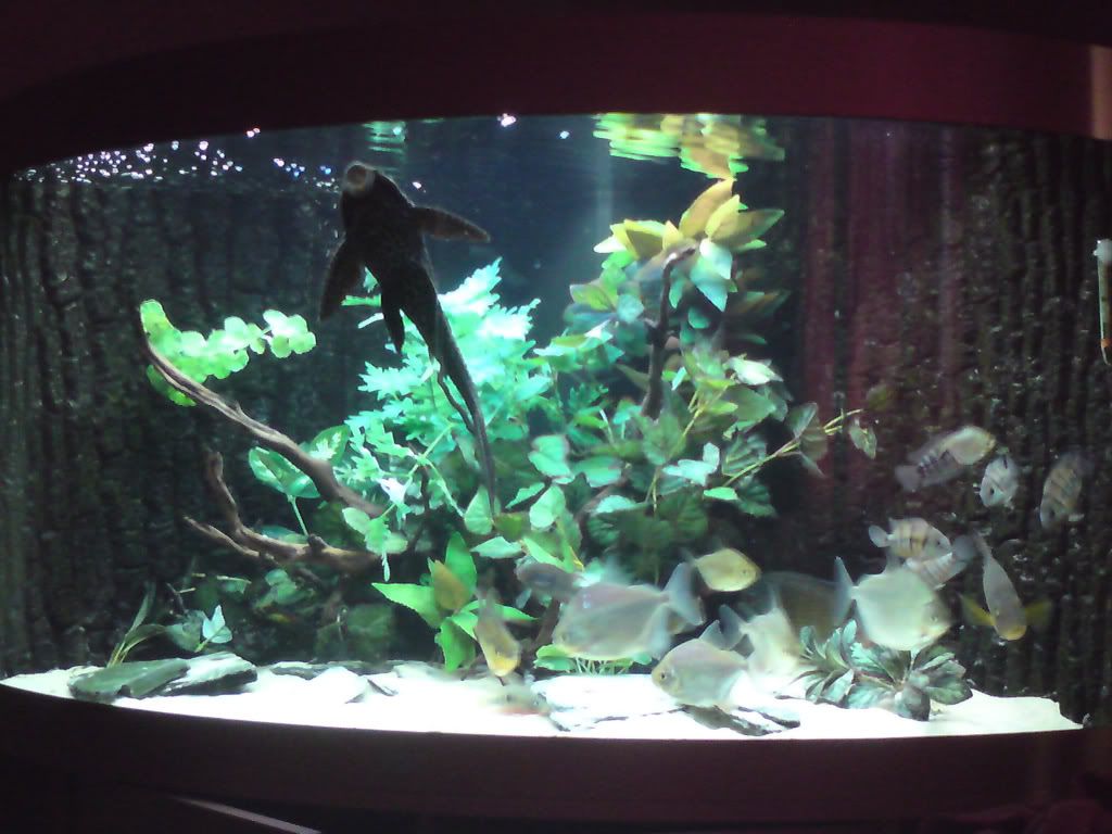 DSC00418.jpg