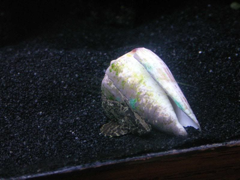 PICT0015.jpg