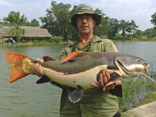redtail_catfish_15.jpg