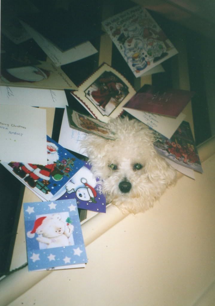 xmastoby.jpg