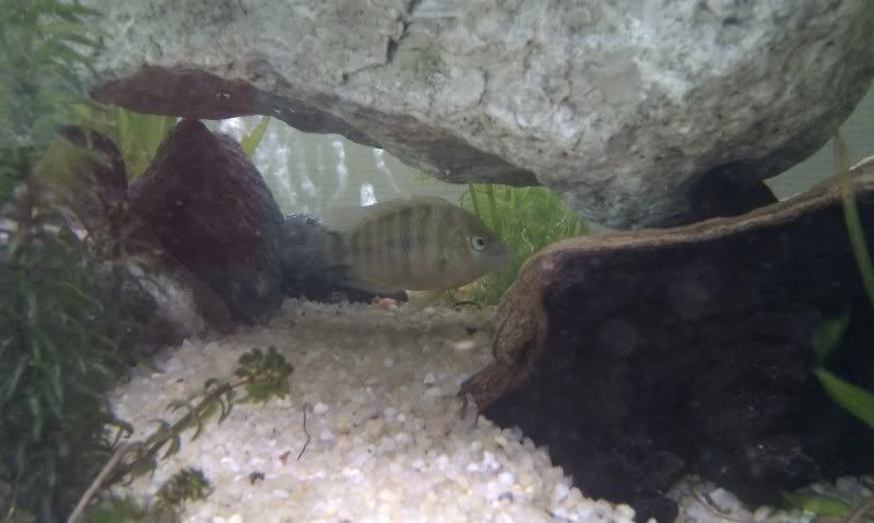 IMAG0710.jpg