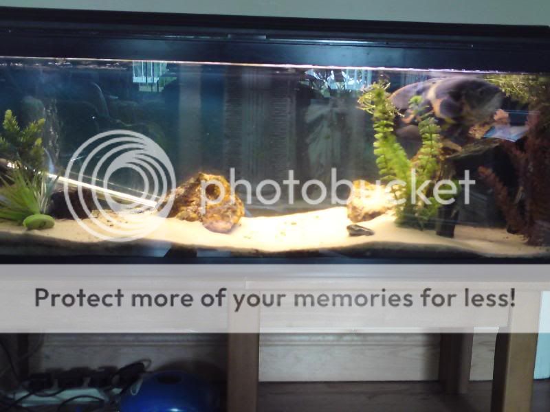 DSC01551-1.jpg