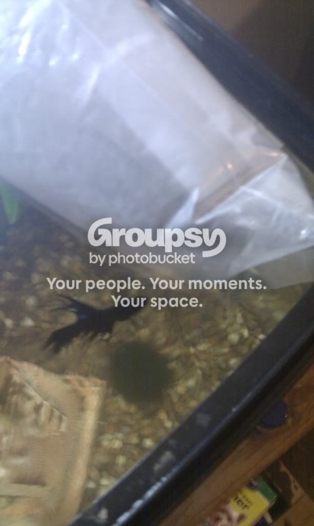 IMAG0034.jpg