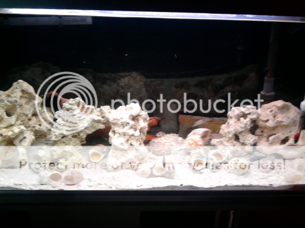 CopyofPhoto0299.jpg