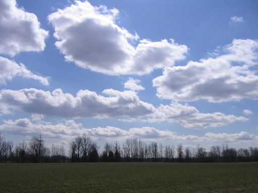 Picture675.jpg