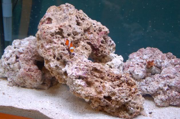 aquarium003.jpg