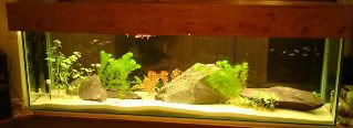 DSC00338.jpg