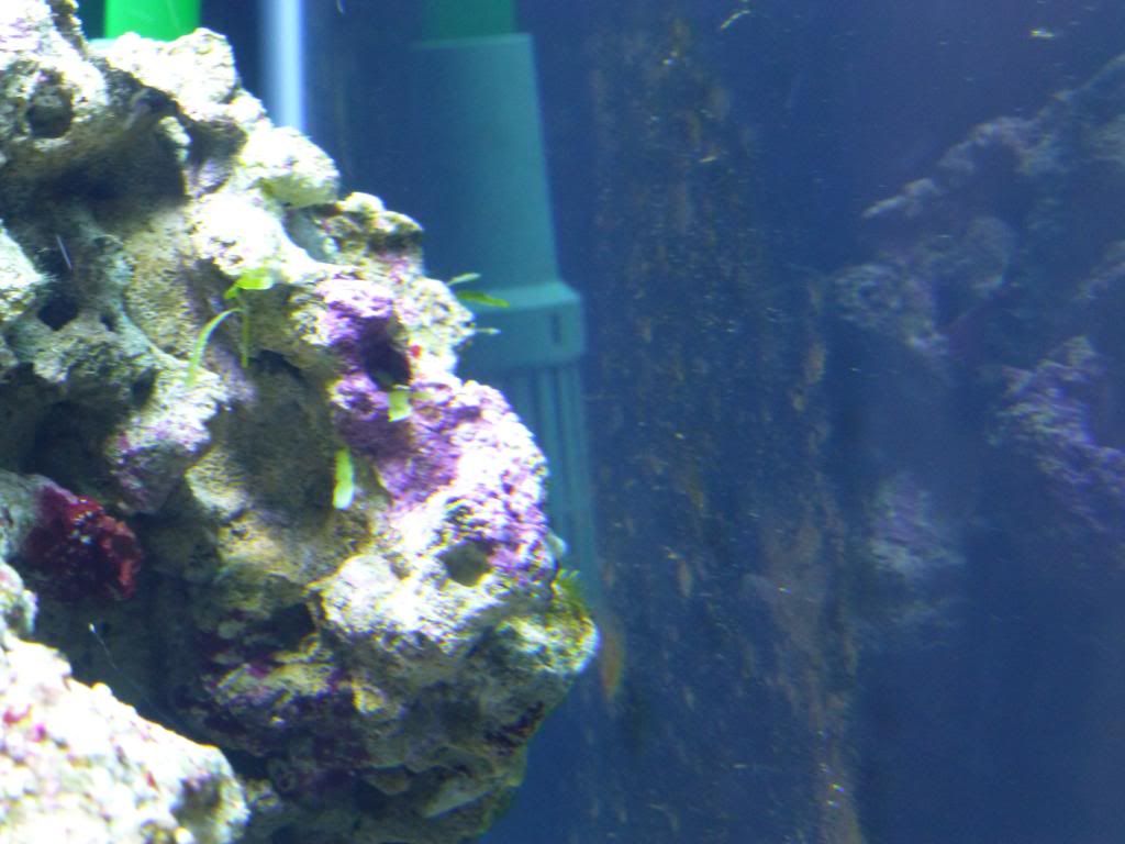 P1000172.jpg