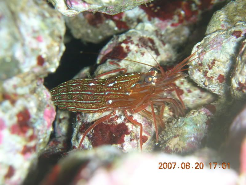 DSCN1888.jpg