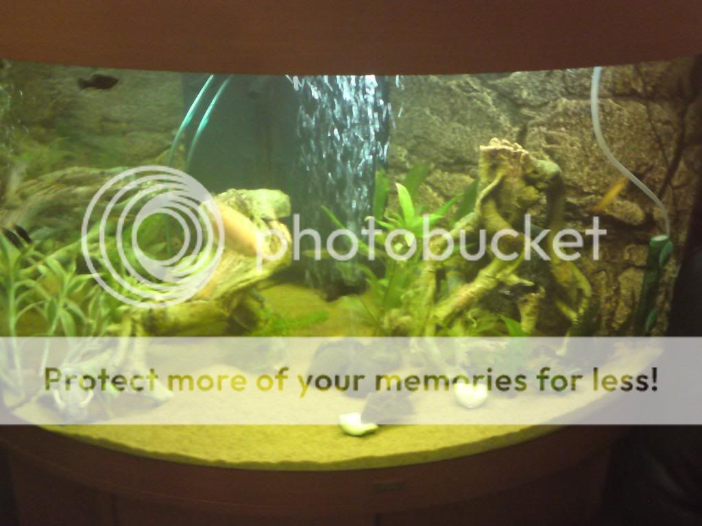DSC00655-2.jpg