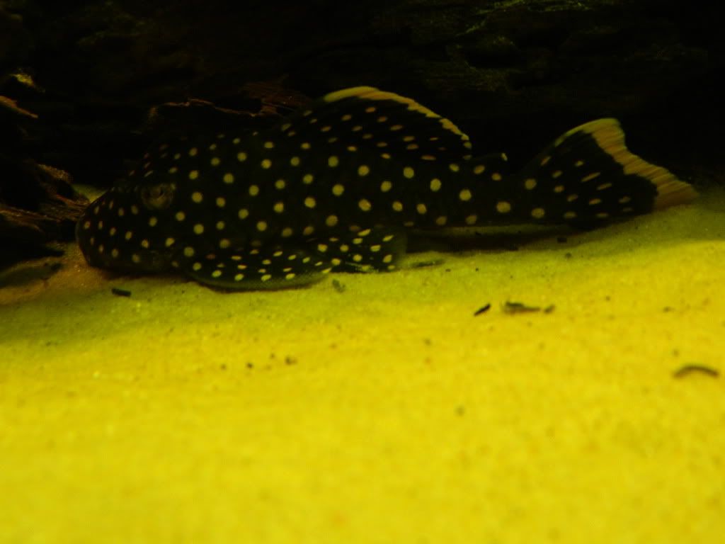 DSCN0400.jpg