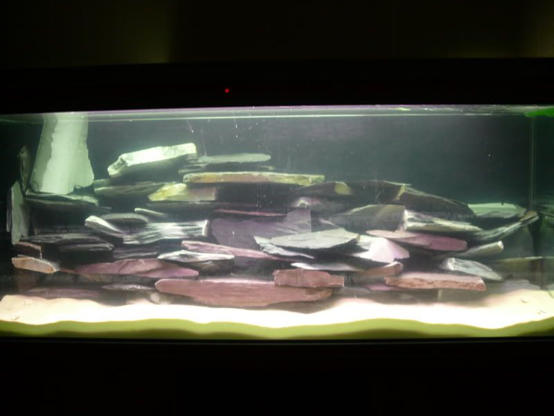 P1000877.jpg
