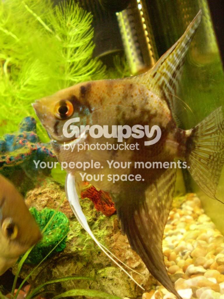 P4100014.jpg