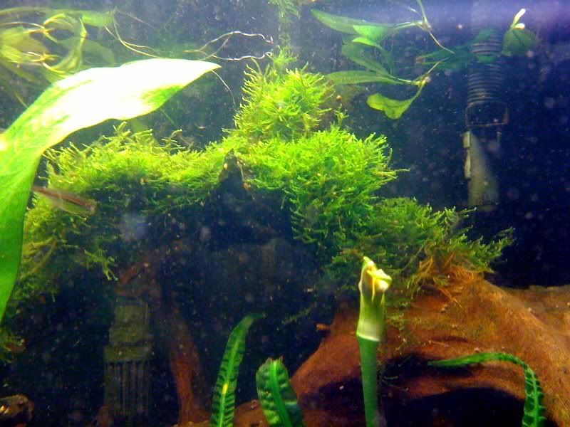 photo-3.jpg