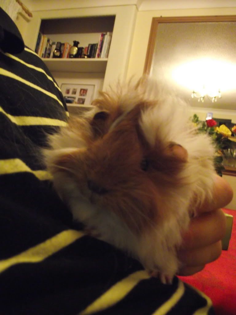 DSCF0691.jpg