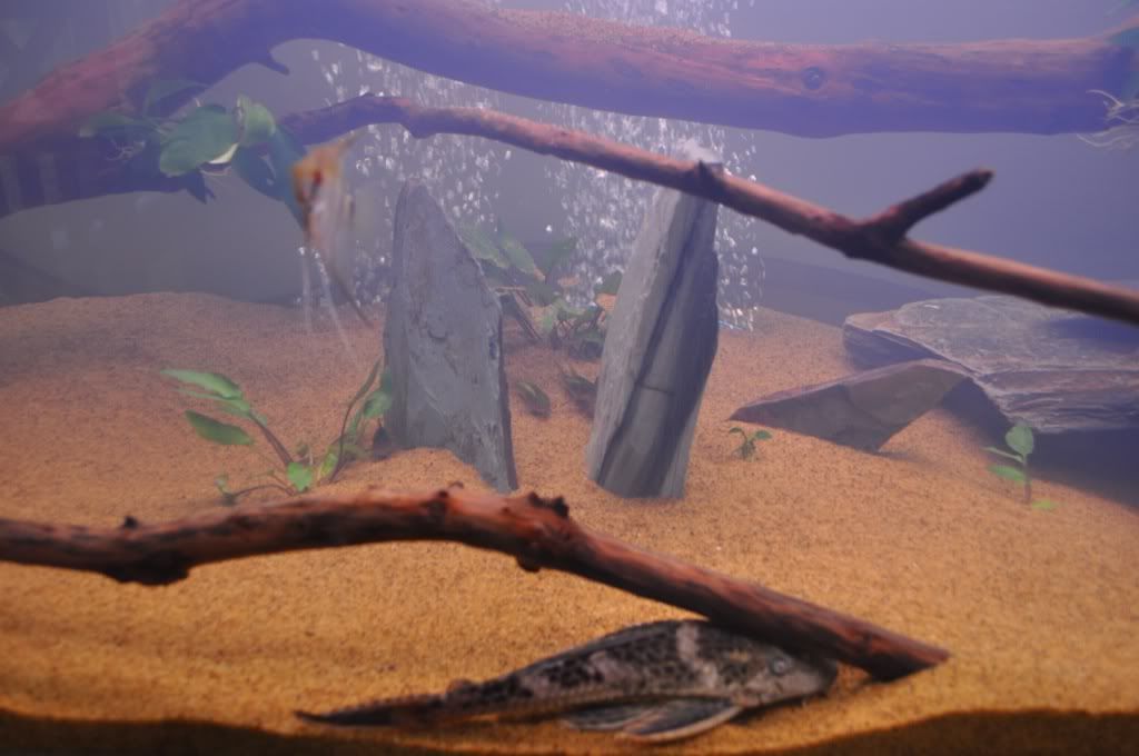 24cf3048.jpg